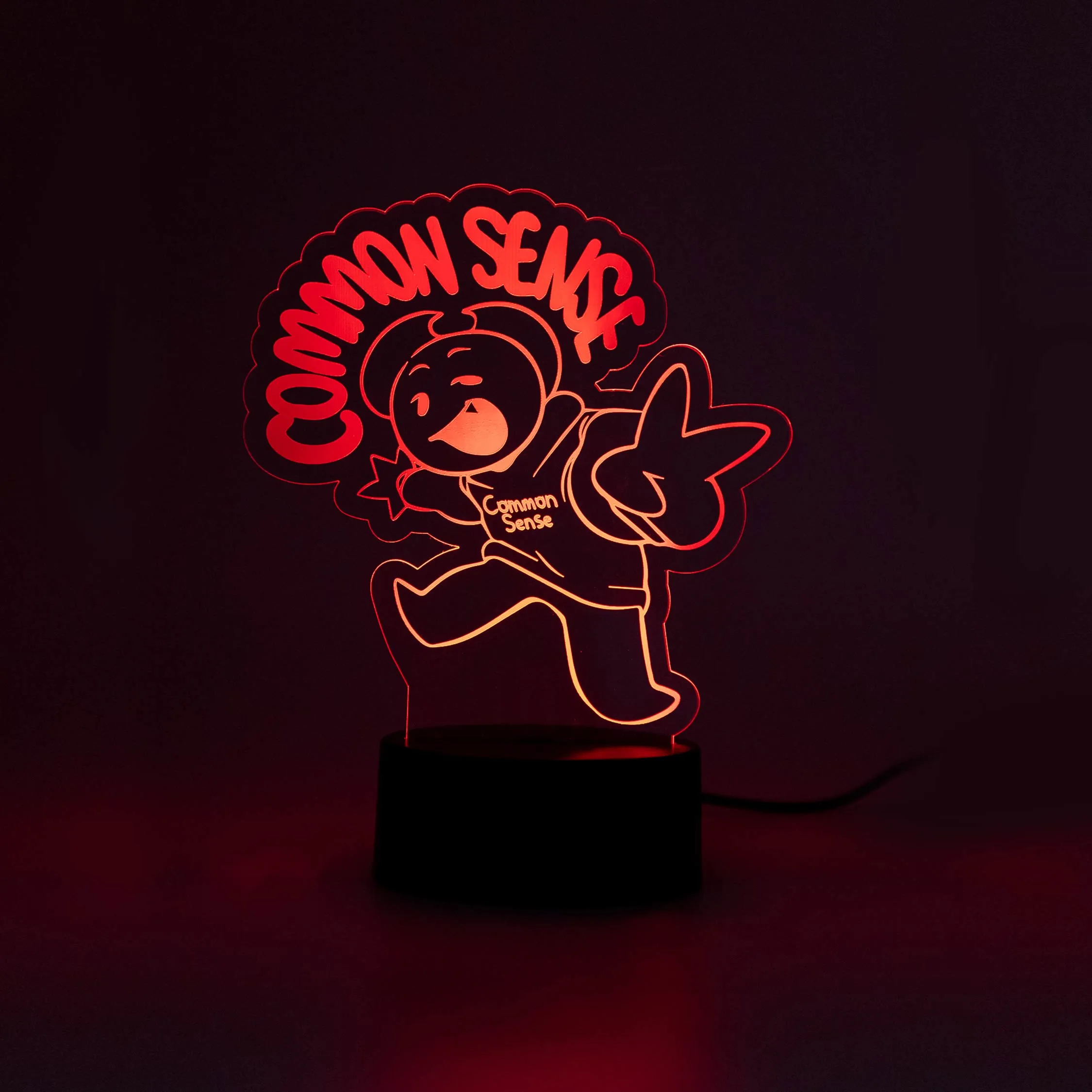 Common Sense Acrylic LED Lamp