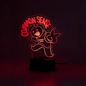 Common Sense Acrylic LED Lamp