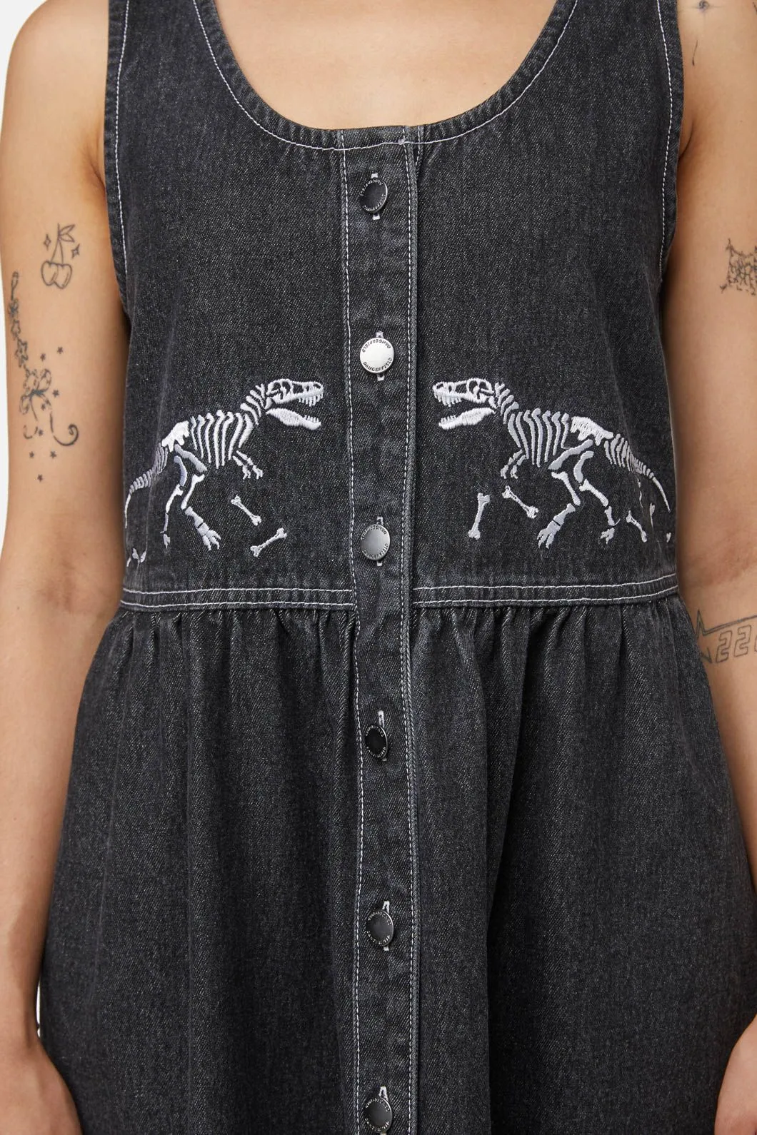 Early Jurassic Dino Pinafore