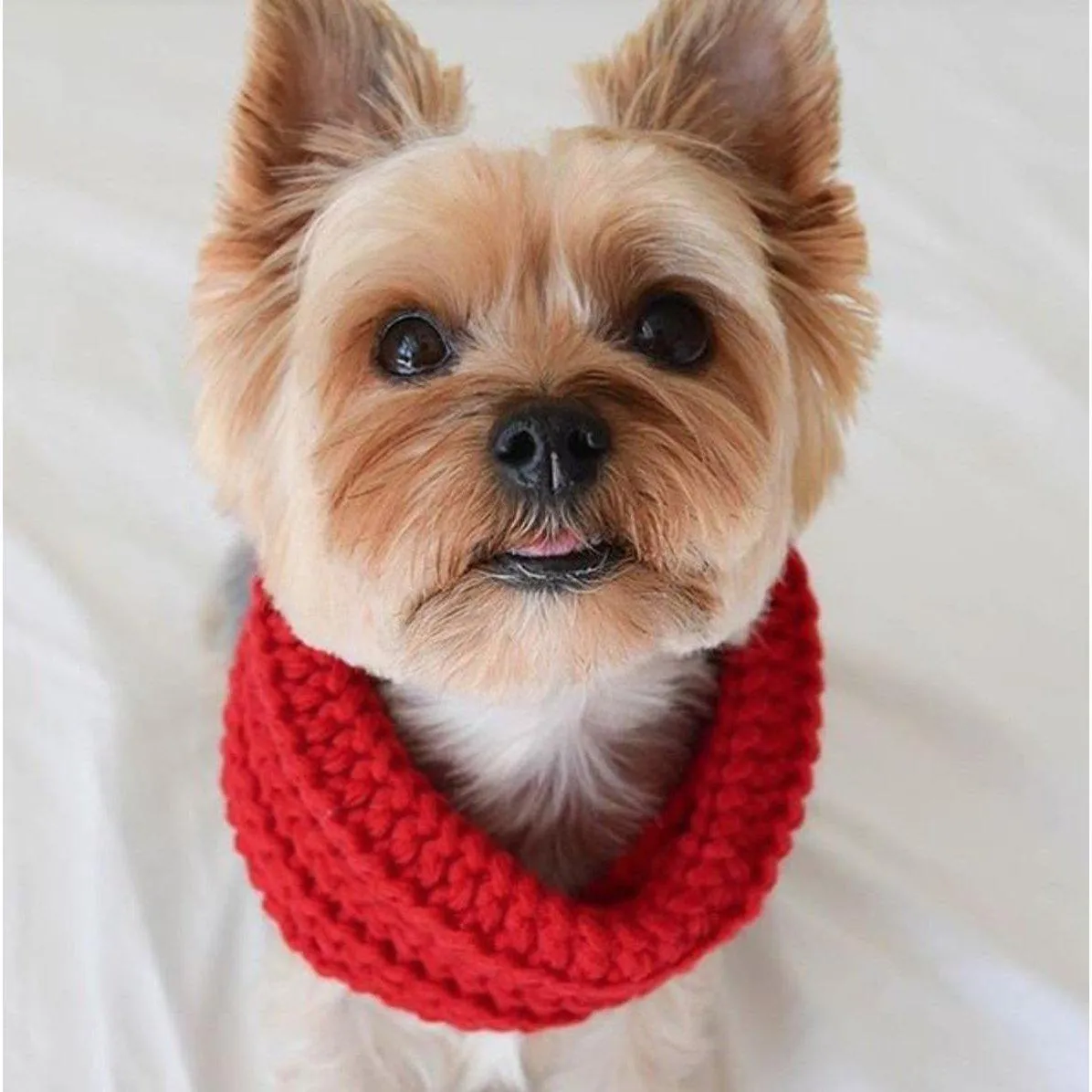 Fabdog | Infinity Dog Scarves - Red